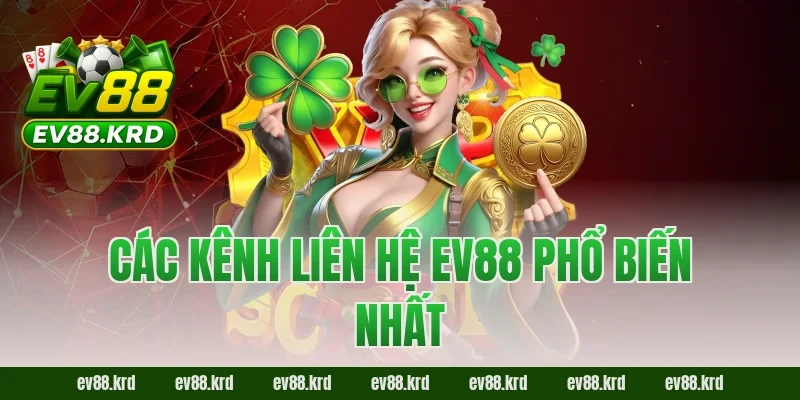 Các kênh liên hệ EV88 phổ biến nhất