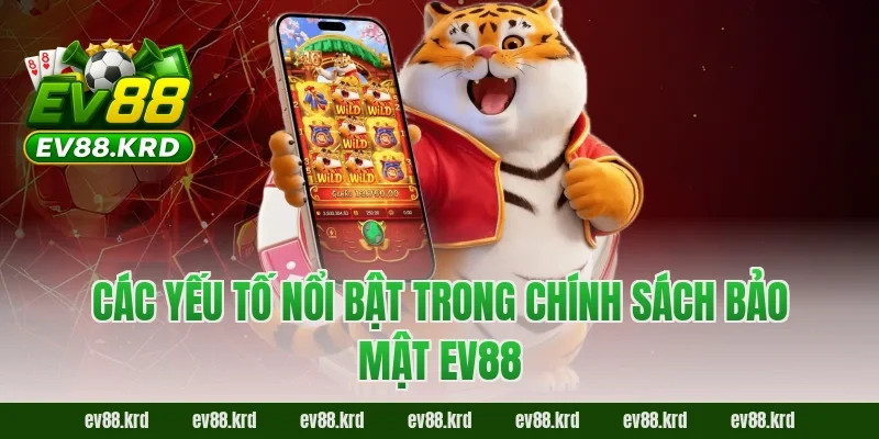 Chính sách bảo mật EV88 2 Các yếu tố nổi bật trong chính sách bảo mật EV88