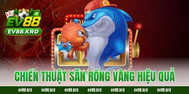 Chiến thuật săn Rồng Vàng hiệu quả