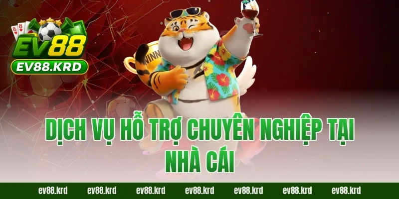 Giới thiệu EV88 3 Dịch vụ hỗ trợ chuyên nghiệp tại nhà cái