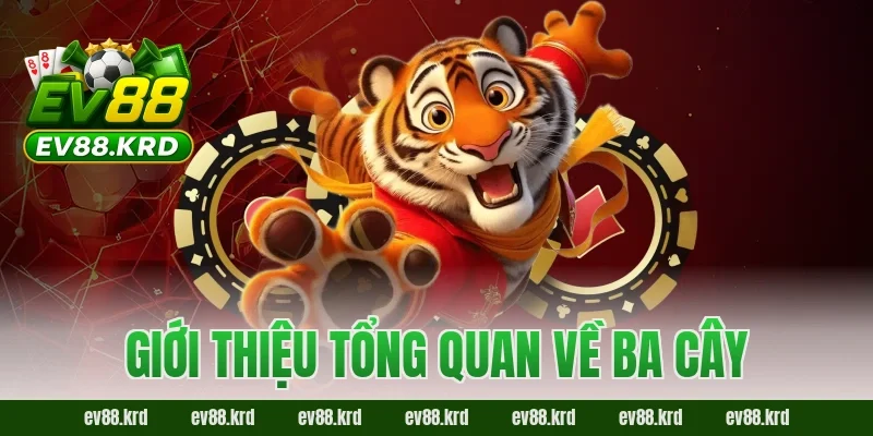 Giới thiệu tổng quan về Ba Cây
