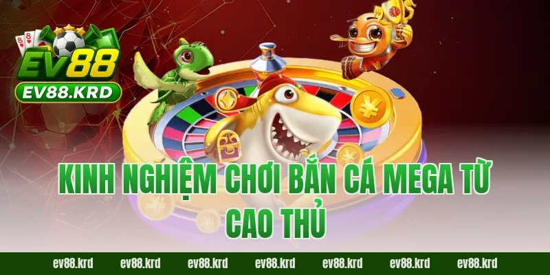 Kinh nghiệm chơi Bắn Cá Mega từ cao thủ