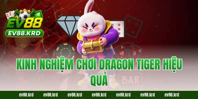 Kinh nghiệm chơi Dragon Tiger hiệu quả