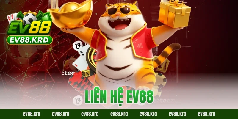 Liên hệ EV88 – Chủ Động Kết Nối, An Tâm Trải Nghiệm