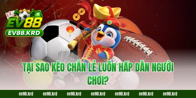 Tại sao kèo chẵn lẻ luôn hấp dẫn người chơi?