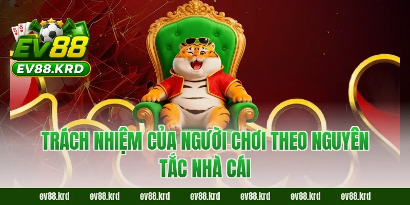 Điều khoản điều kiện EV88 3 Trách nhiệm của người chơi theo nguyên tắc nhà cái