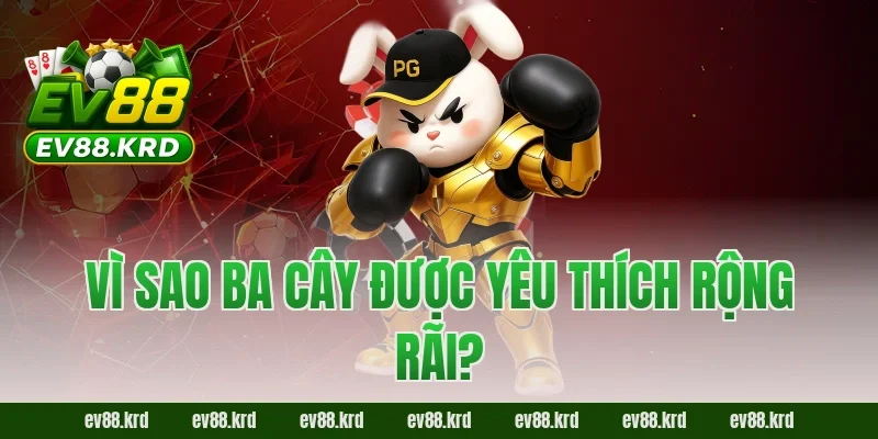 Vì sao Ba Cây được yêu thích rộng rãi?