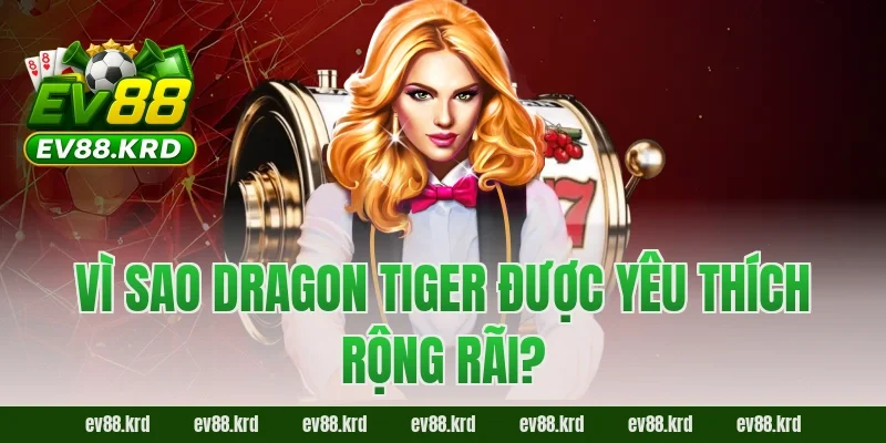 Vì sao Dragon Tiger được yêu thích rộng rãi?